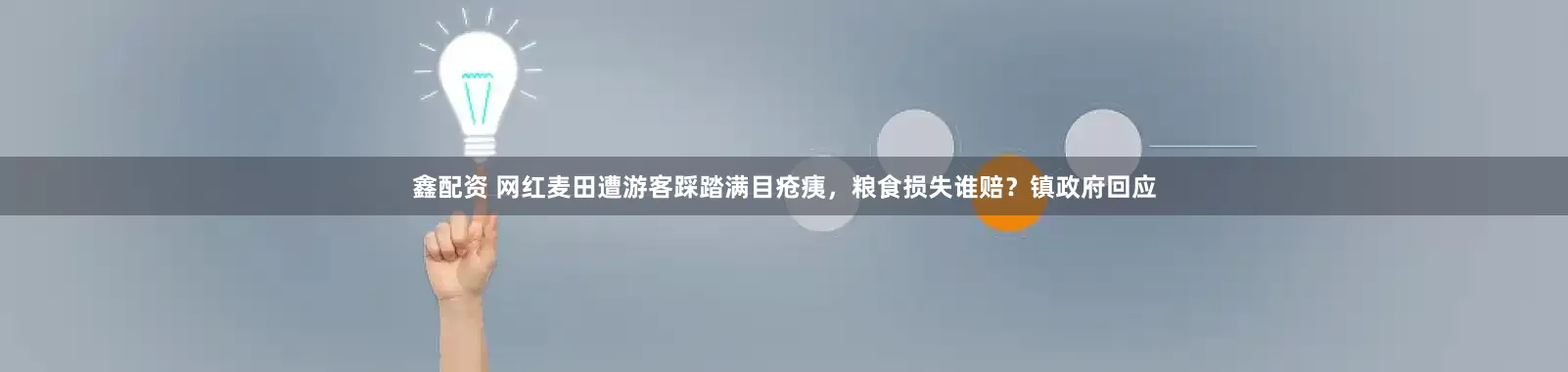 鑫配资 网红麦田遭游客踩踏满目疮痍，粮食损失谁赔？镇政府回应