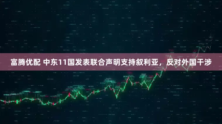 富腾优配 中东11国发表联合声明支持叙利亚，反对外国干涉