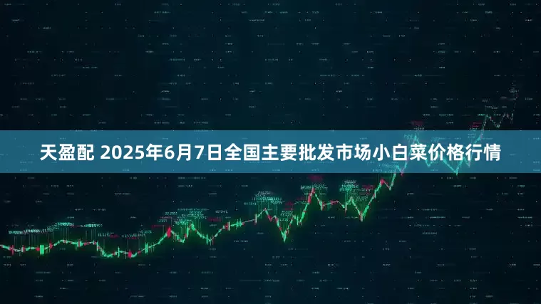 天盈配 2025年6月7日全国主要批发市场小白菜价格行情