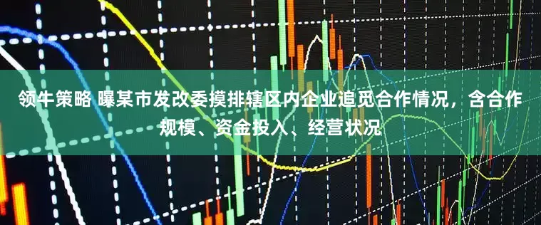 领牛策略 曝某市发改委摸排辖区内企业追觅合作情况，含合作规模、资金投入、经营状况