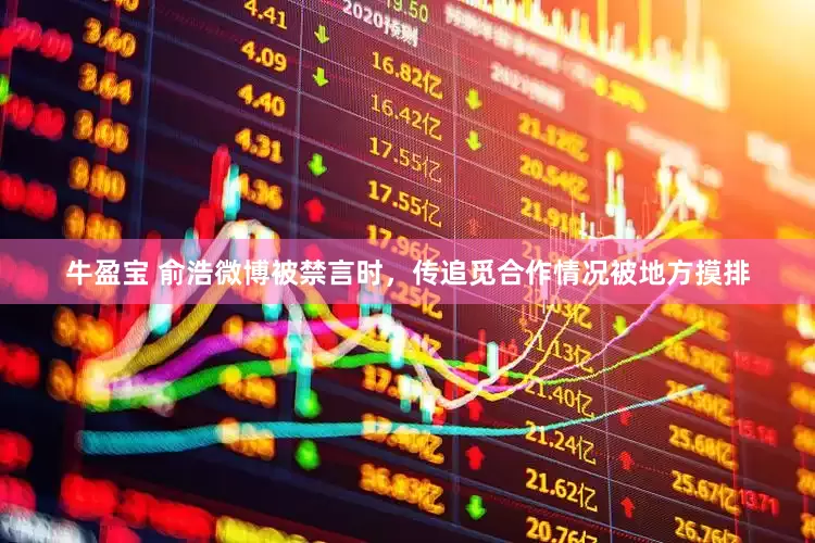 牛盈宝 俞浩微博被禁言时，传追觅合作情况被地方摸排
